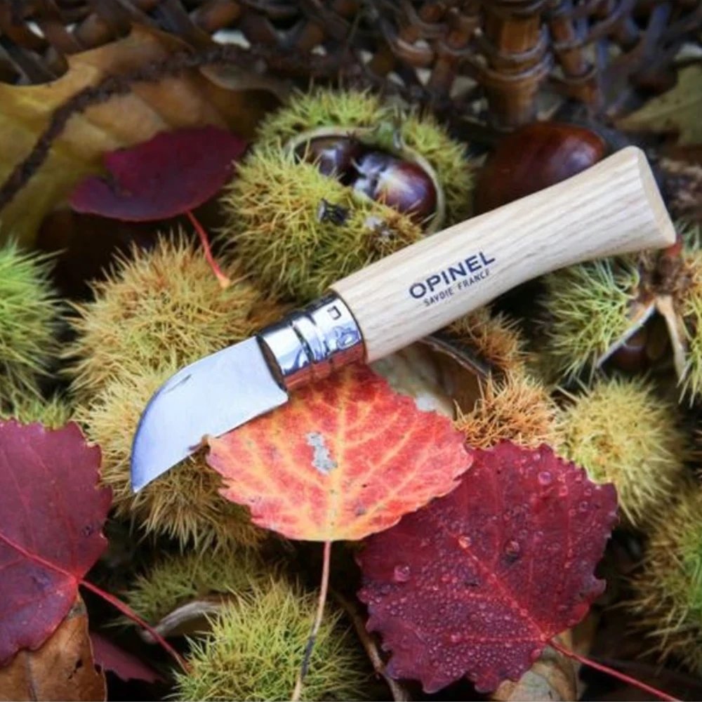 Opinel No 07 Kastanienmesser | Das feine Spezialmesser für Maronen & Knoblauch