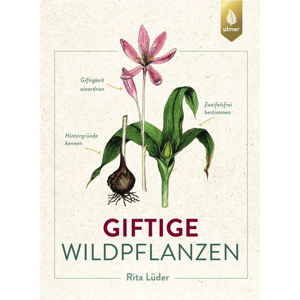 Giftige Wildpflanzen Rita Lueder Verwechslungsgefahr bannen sicher erkennen