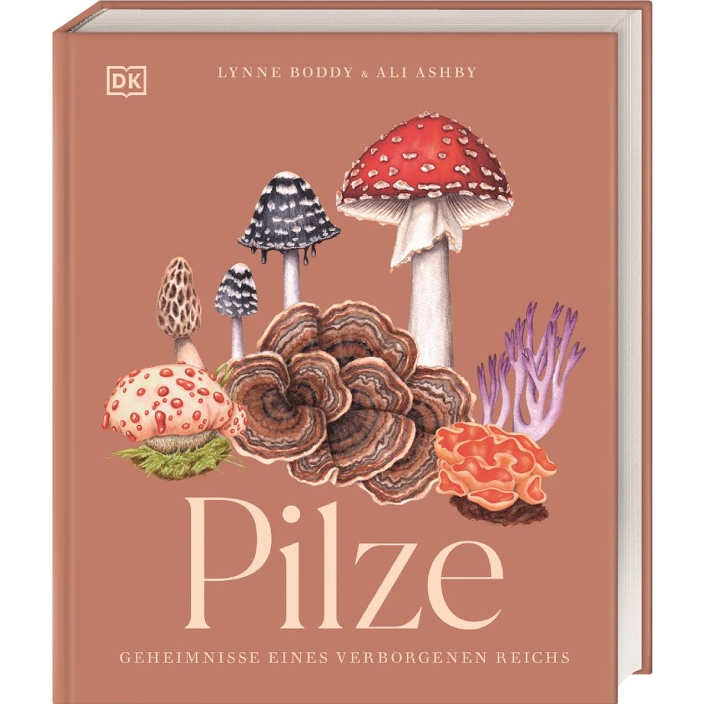 Buch: Pilze, Ali Ashby & Lynne Boddy, 2024, Dorling Kindersley