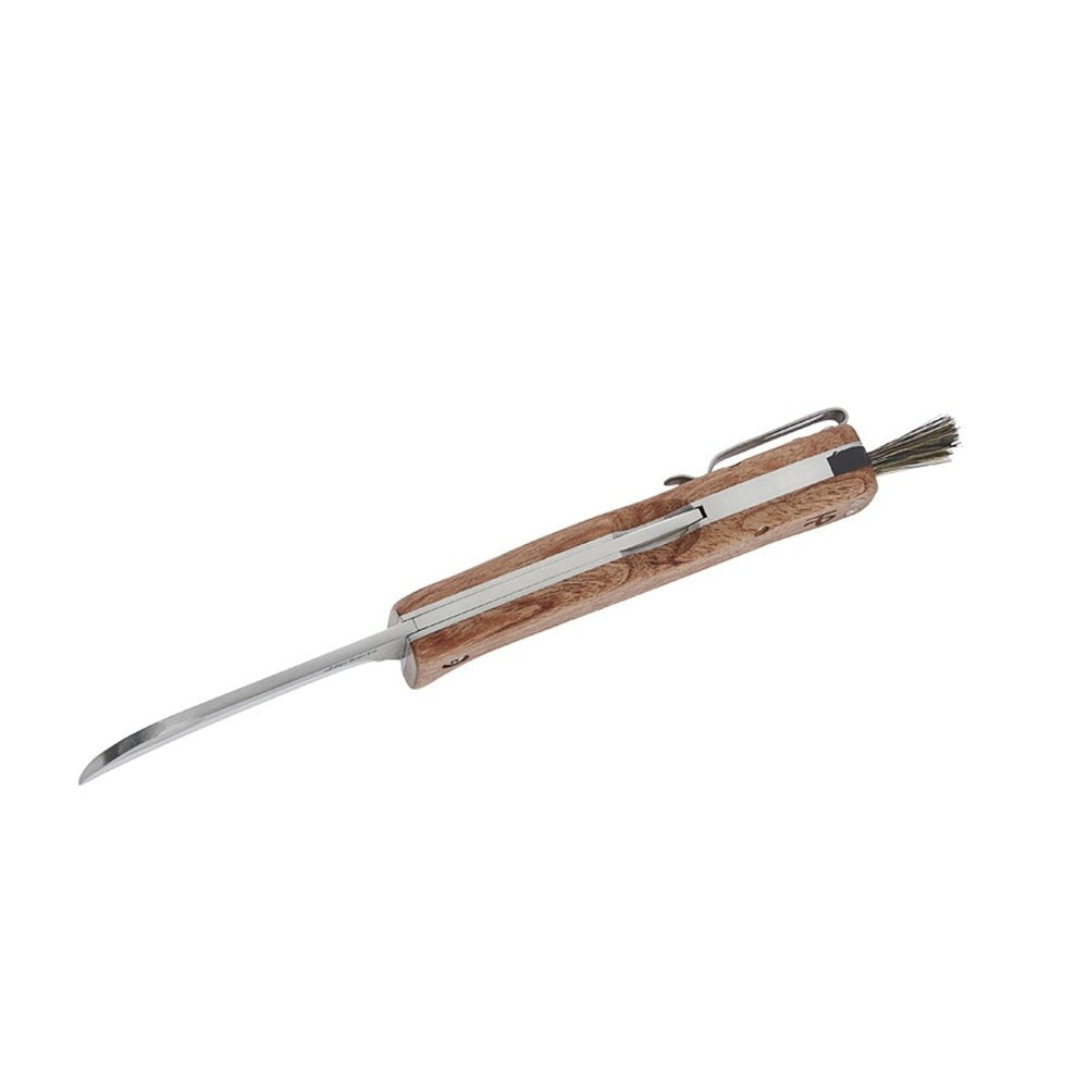 Herbertz Pilzmesser 7,3 cm spitze Klinge Buchenholz Bürste Backlock